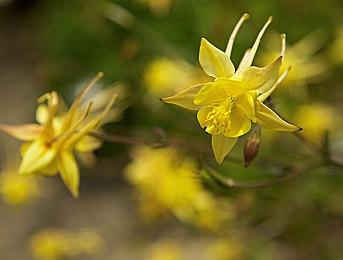 玩家展示20年老电脑引热议 现在已成奶奶专用游戏机